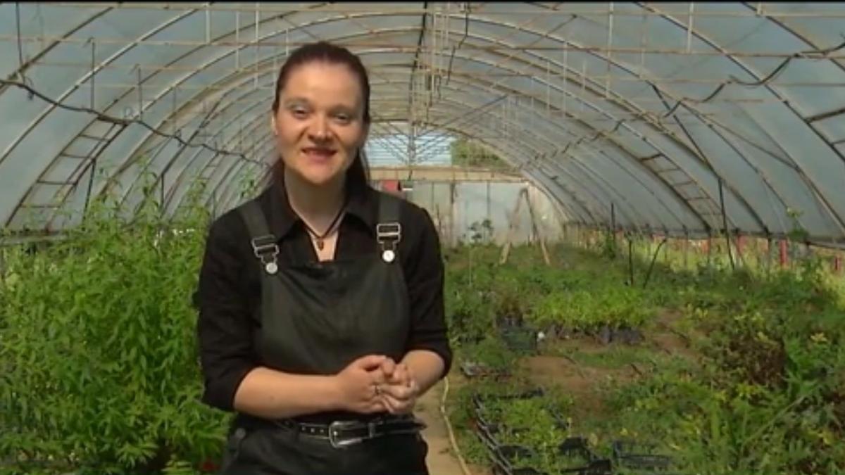 numai de bine a venit vremea plantarii florilor cu bulbi