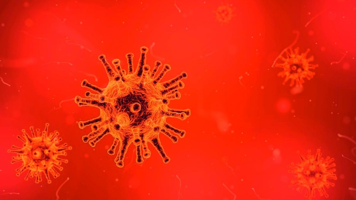 un medic renumit declaratie soc orice cancer se poate vindeca intre 2 si 16 saptamani