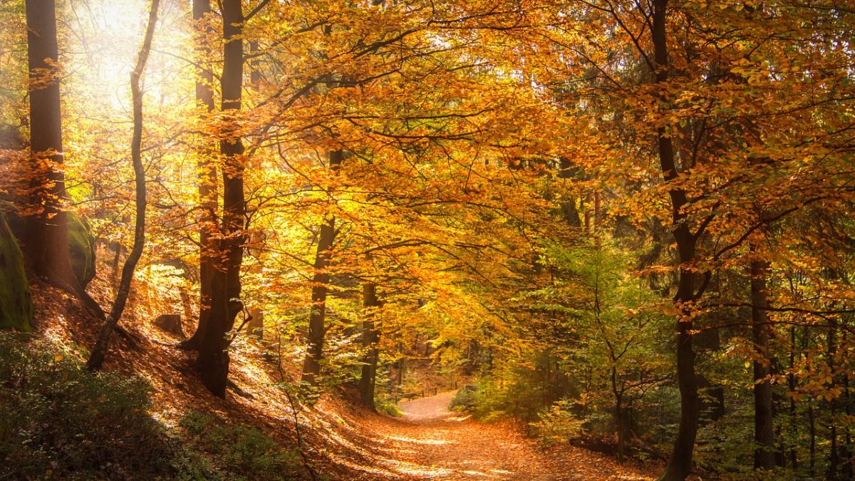 vremea se incalzeste vineri ce temperaturi anunta meteorologii