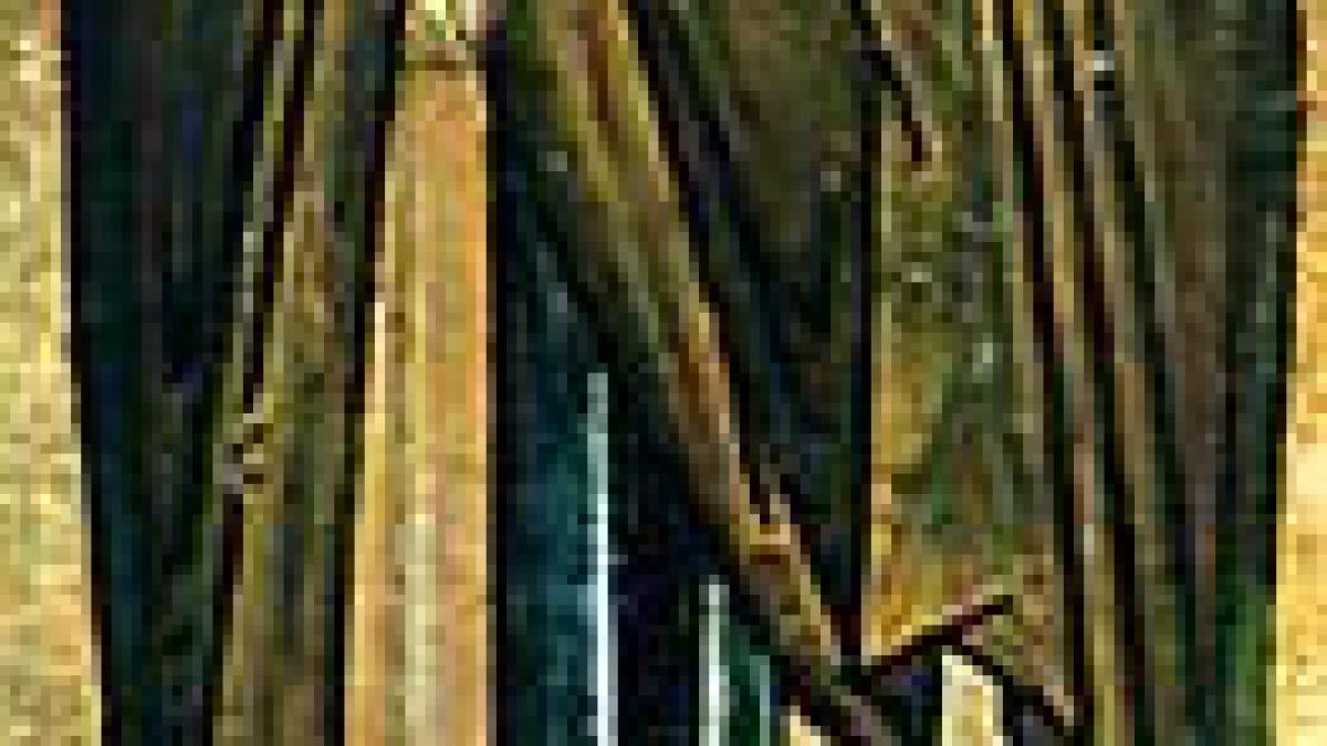 calendar ortodox 28 septembrie un sfant important este celebrat vineri