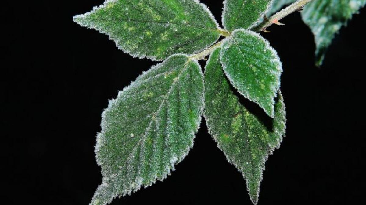 orasul din romania unde s a inregistrat o temperatura record pentru luna septembrie 8 grade