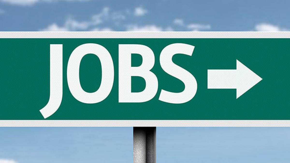 tu unde iti cauti viitorul job