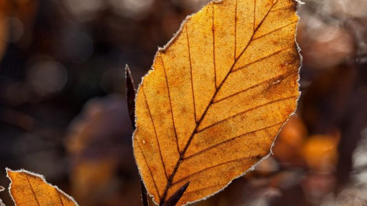 vremea in weekend frigul se instaleaza in romania