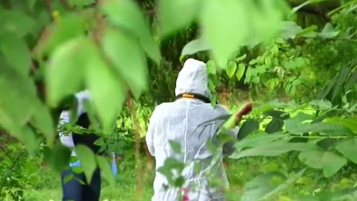 informatii socante despre barbatul gasit mort intr un parc din judetul bihor