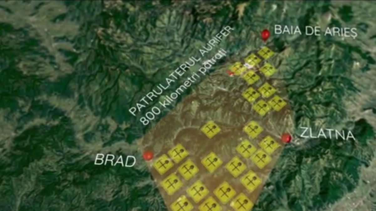 in premiera sacalii cu dinti de aur