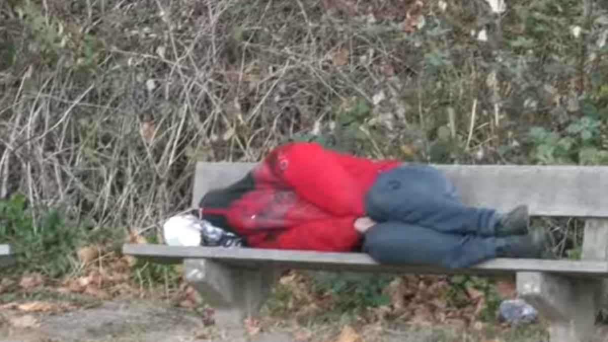 situatie revoltatoare in germania un muncitor roman a fost lasat sa doarma pe banca langa o padure