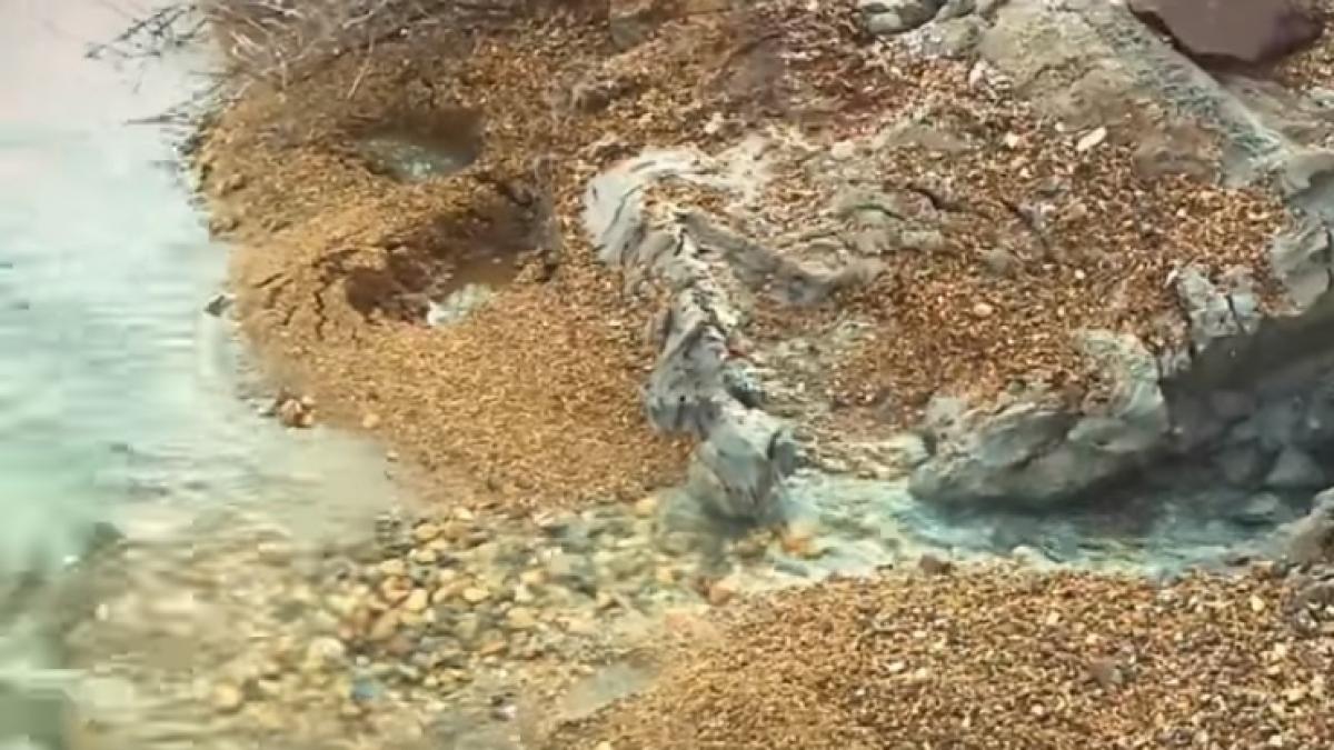 aparitia din marea moarta care creaza controverse printre crestini se implineste o noua profetie