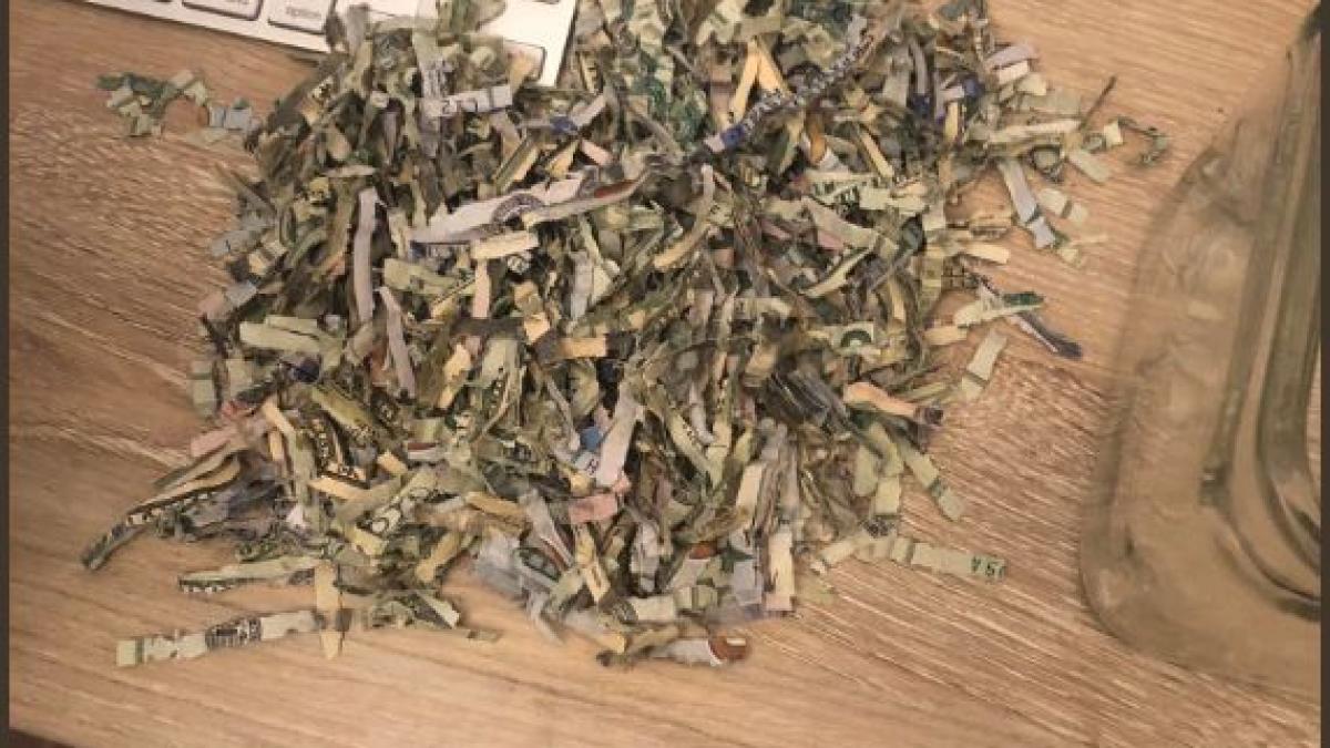 un copil de doi ani a transformat o suma uriasa de bani in confetti incredibil cum au reactionat