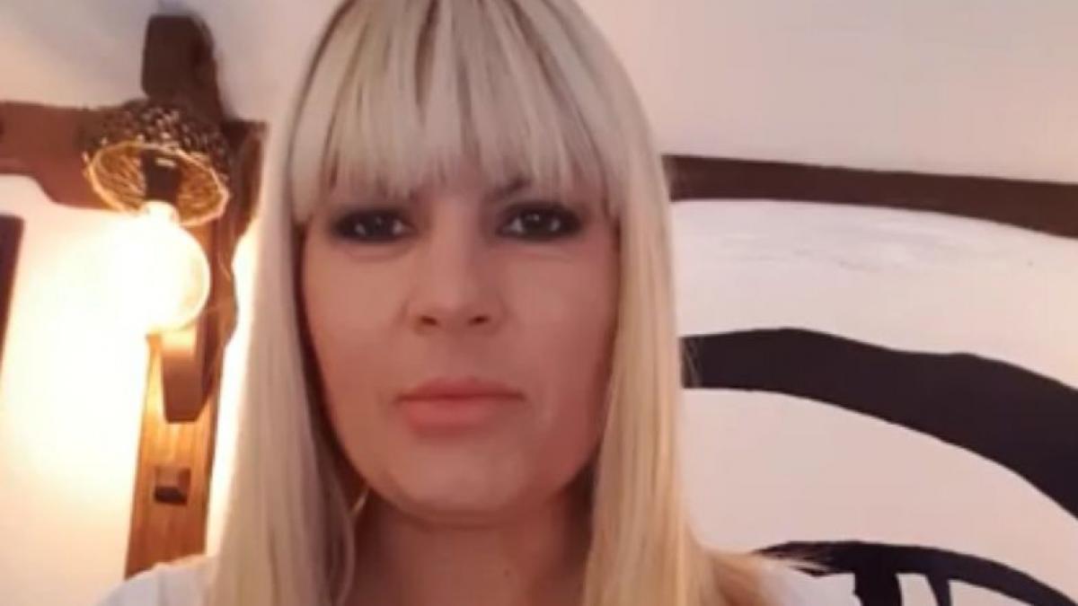 ce plan a pus la cale elena udrea ca sa scape de inchisoare
