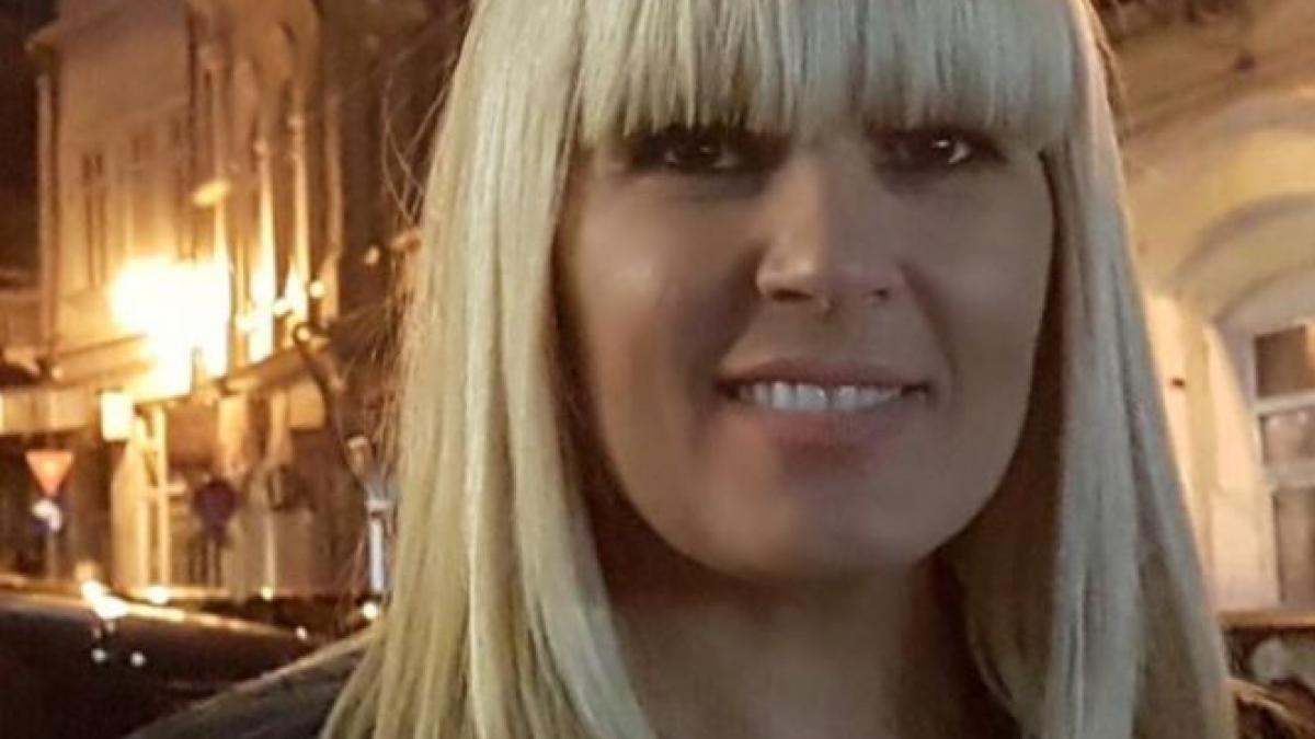 cine o apara pe elena udrea informatii in exclusivitate
