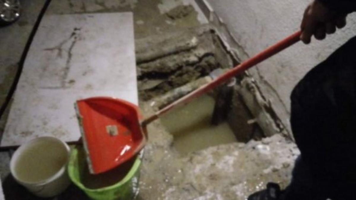 cosmarul unui roman care si a cumparat un apartament nou nu va imaginati cum miroase in casa