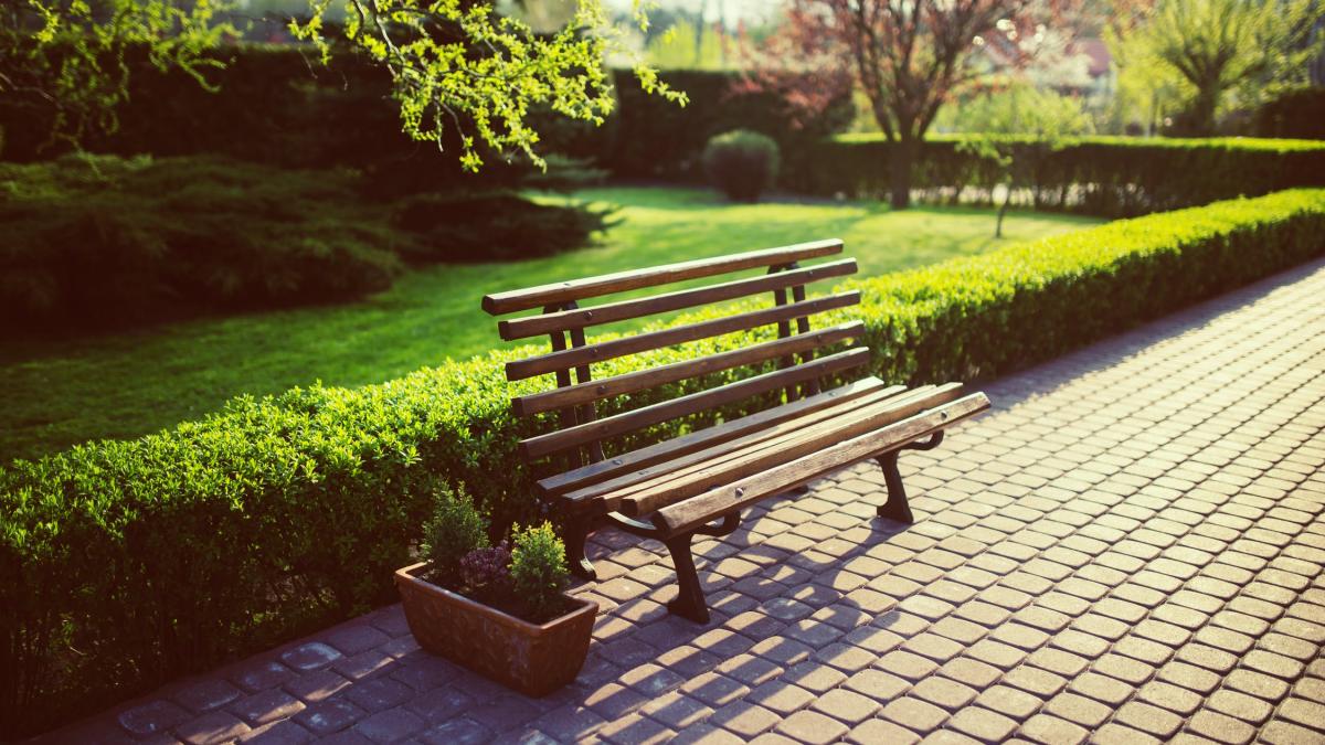 o familie a facut o descoperire incredibila pe o banca din centrul orasului buzau oamenii s au dus