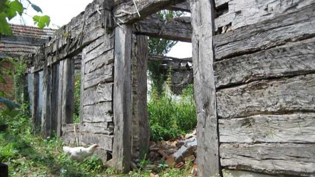 casa in care s a nascut constantin brancusi s a prabusit reactia ministrului culturii