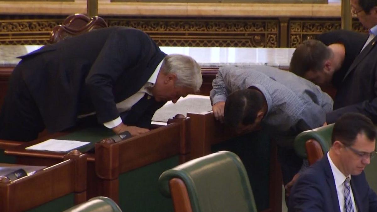 politikix senatorii curentati in sedinta
