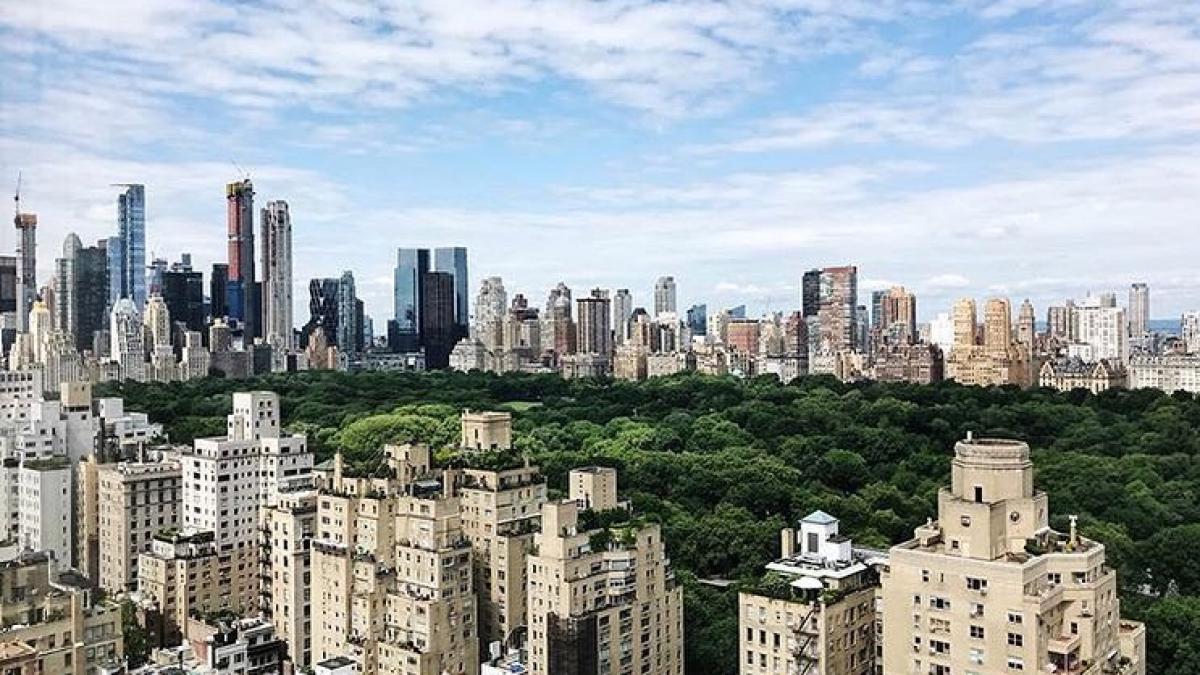 un barbat acuzat ca a furat vinuri in valoare de 1 2 milioane dolari s a aruncat de pe un hotel din