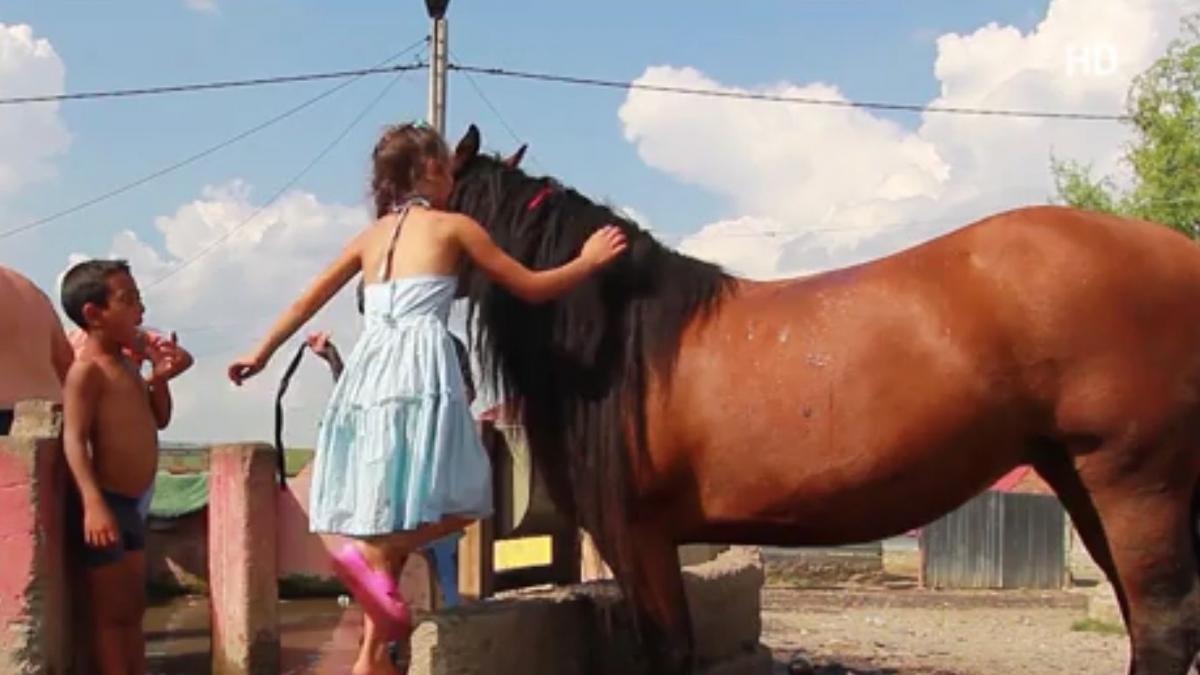 in premiera romii romania si geografia