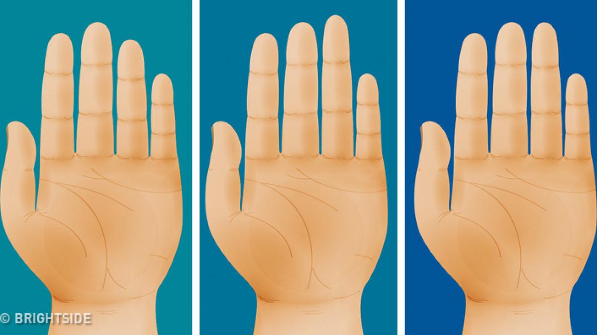 ce spune lungimea degetelor tale despre tipul de personalitate pe care il ai