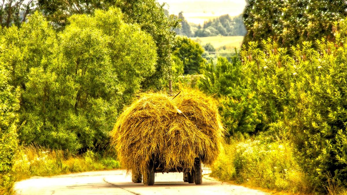 comuna din romania unde munca este sfanta are un singur asistat social