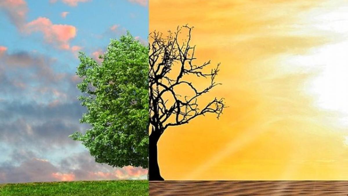 un nou avertisment din partea expertilor ce riscam daca nu limitam urgent incalzirea globala