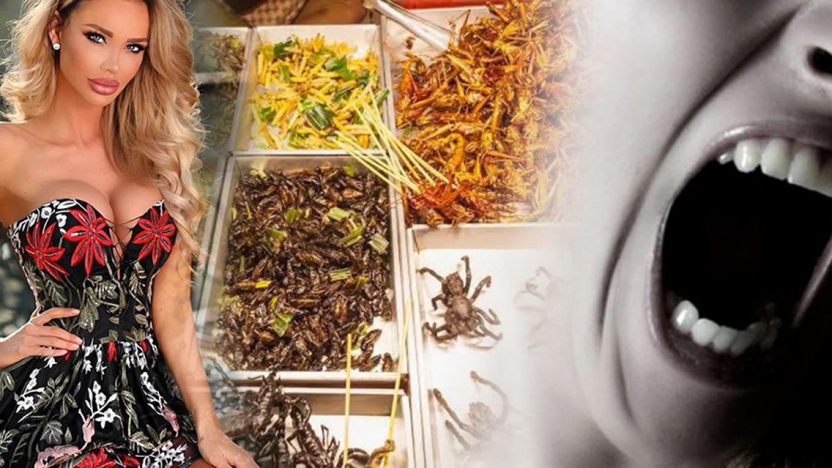 prin ce cosmar trece bianca dragusanu de cateva zile nu credea ca va ajunge in aceasta situatie