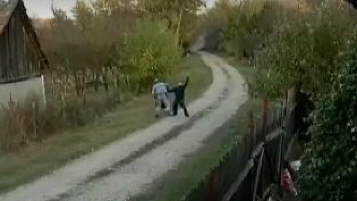 un fost politist din cluj acuzat de vecini ca ii bate pana ii baga in spital