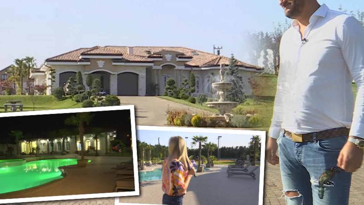 milionar roman cu vila ca la hollywood a pornit de la zero si acum detine un domeniu fabulos