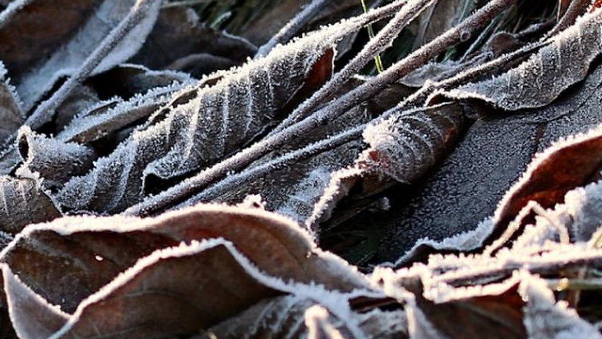 vremea a inceput saptamana celor patru anotimpuri in doar cateva zile trecem de la zapada la peste