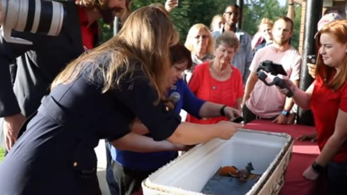 mai multi studenti au gasit in campus o capsula a timpului au trecut doar 25 de ani de atunci dar