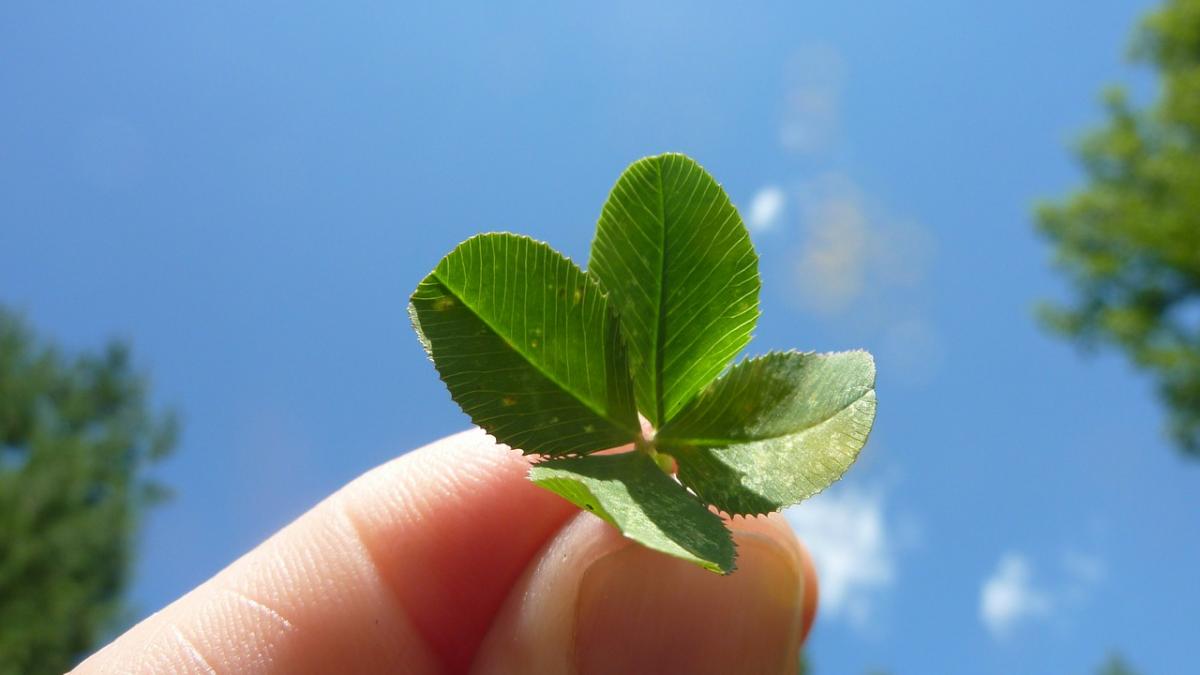 horoscop acesta este topul zodiilor care au noroc la bani