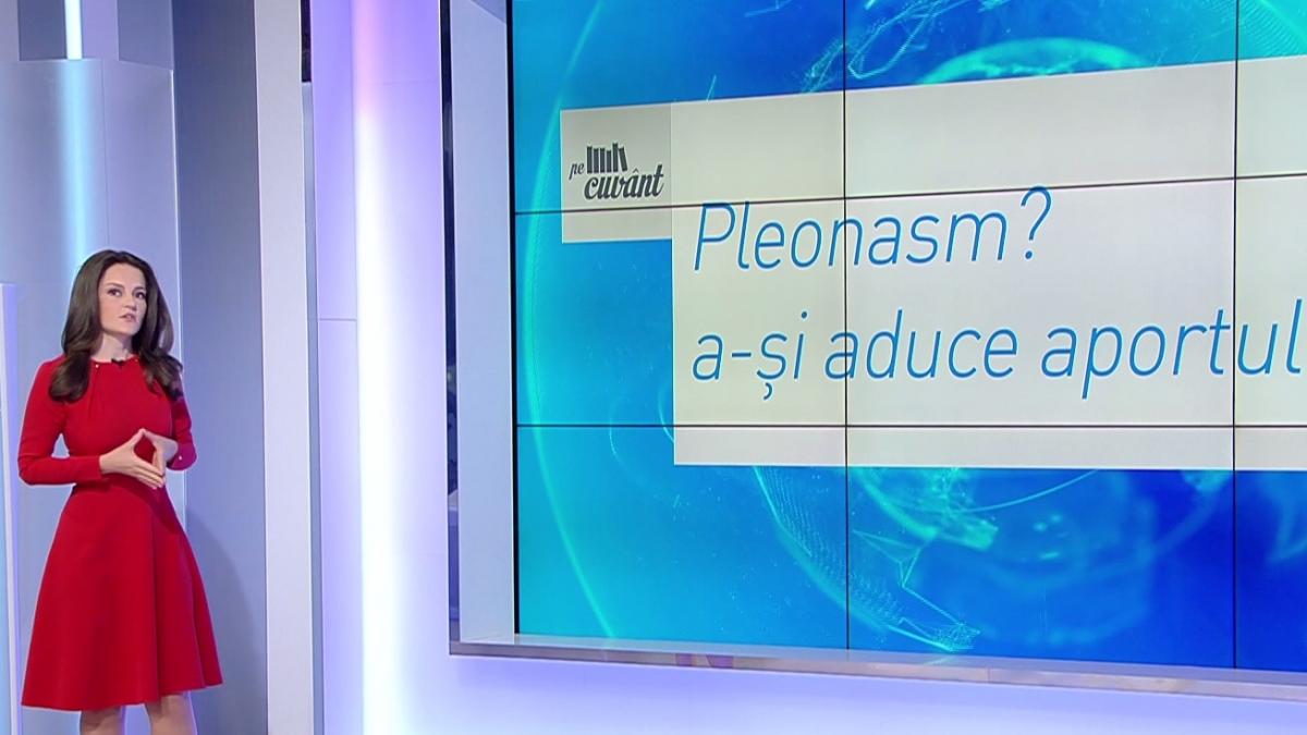 pe cuvant cu ana iorga totul despre controversata formulare a si aduce aportul