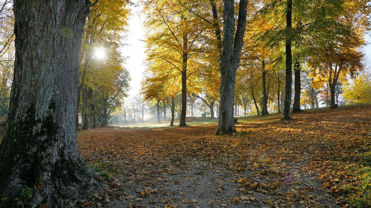 vremea 29 octombrie prognoza meteo anunta inca o zi de vara