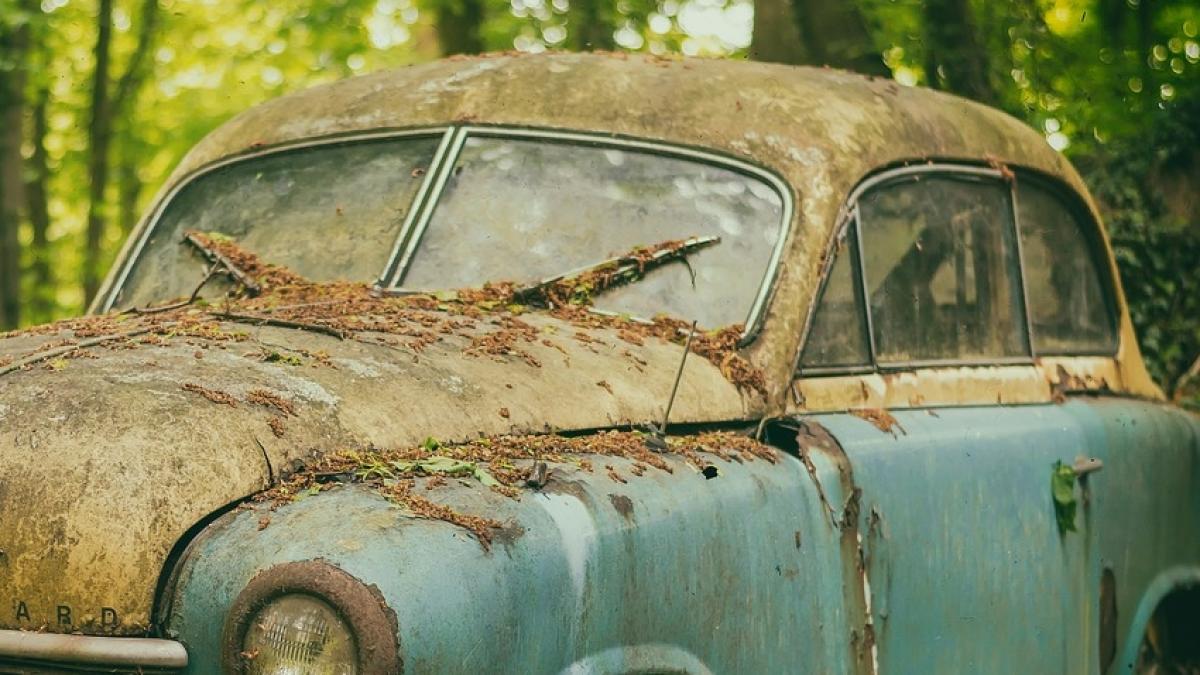 politistii au gasit un barbat mort intr o masina descoperirea socanta pe care au facut o dupa ce i