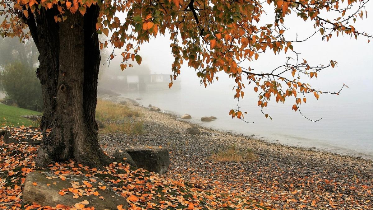 cum au schimbat oamenii cele patru anotimpuri