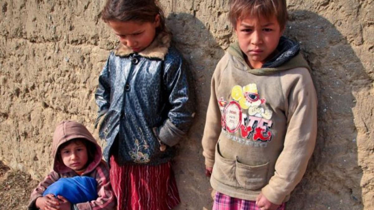 foametea loveste mai multe orase din lume onu sute de milioane de copii si adulti sunt subnutriti