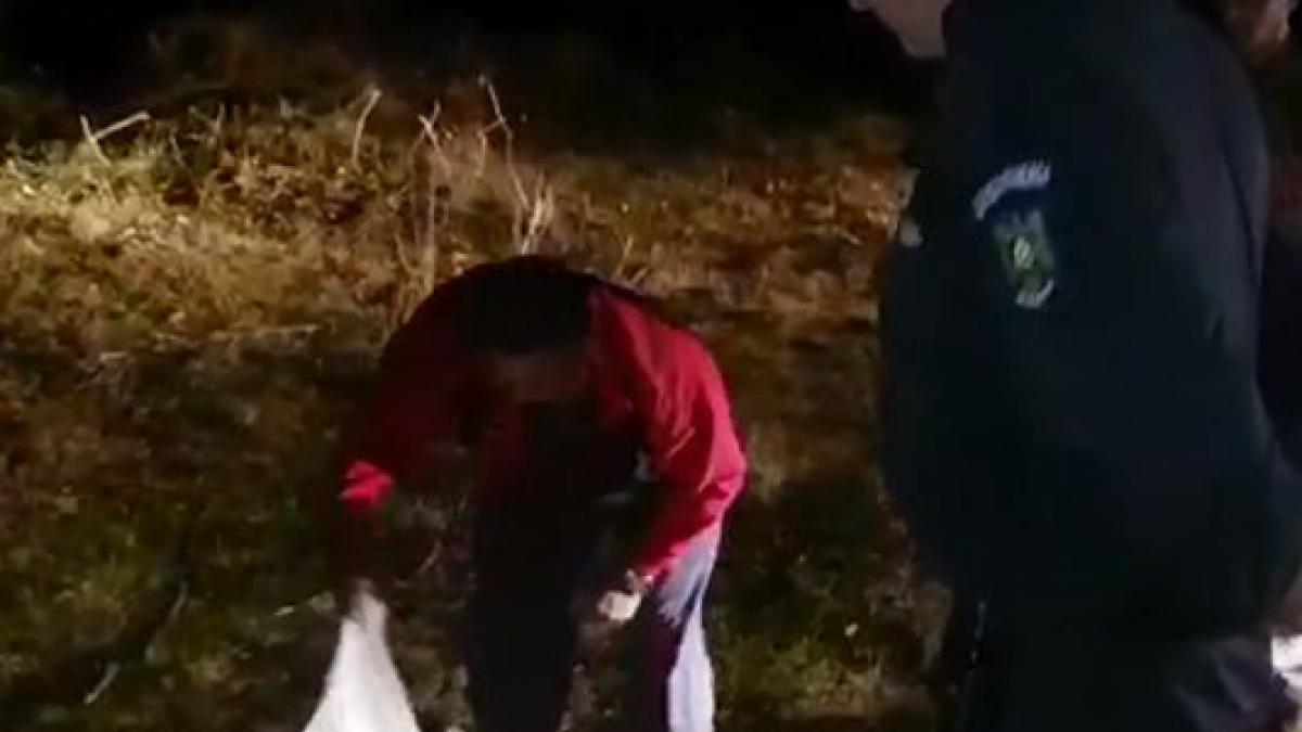 un pui de ras a fost salvat de jandarmi