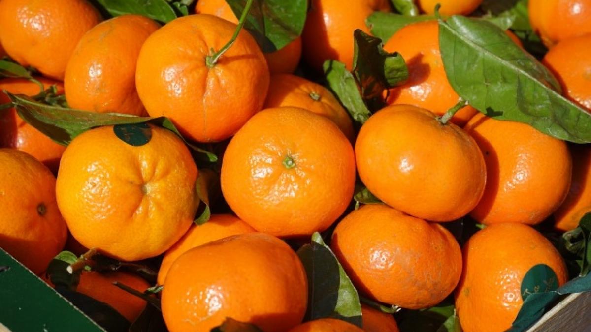 te vei gandi de doua ori inainte sa cumperi clementine din supermarket ce secrete ascund aceste