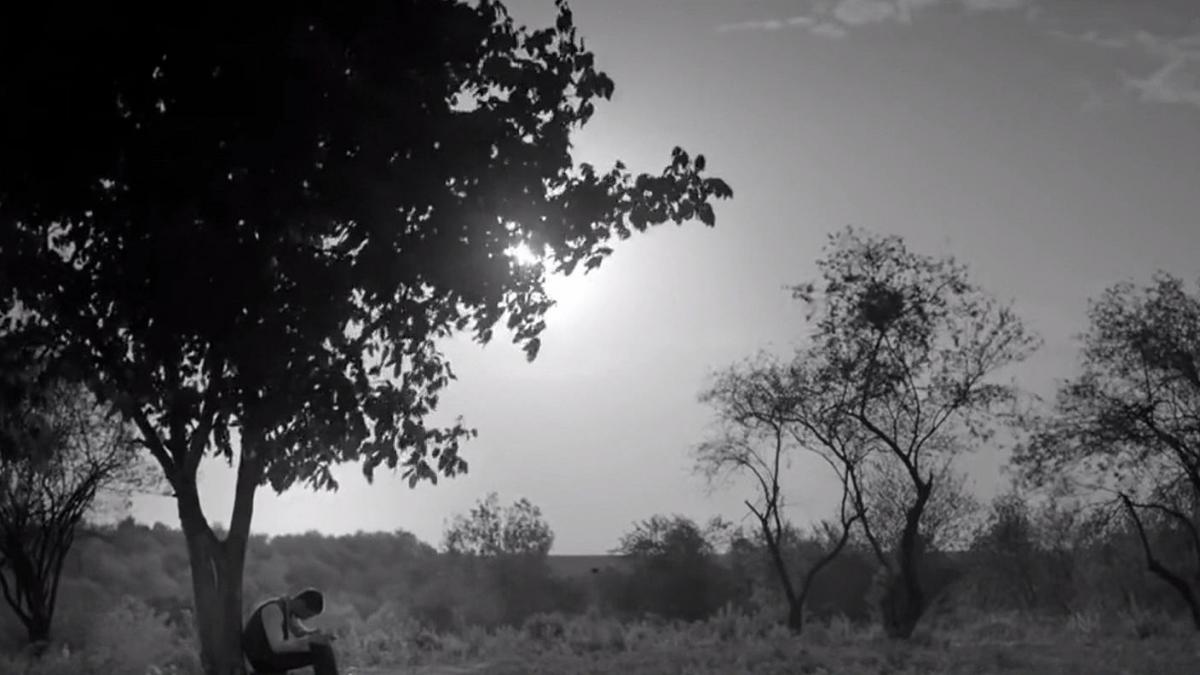 imagini de la premiera flmului morometii 2 in regia lui stere gulea