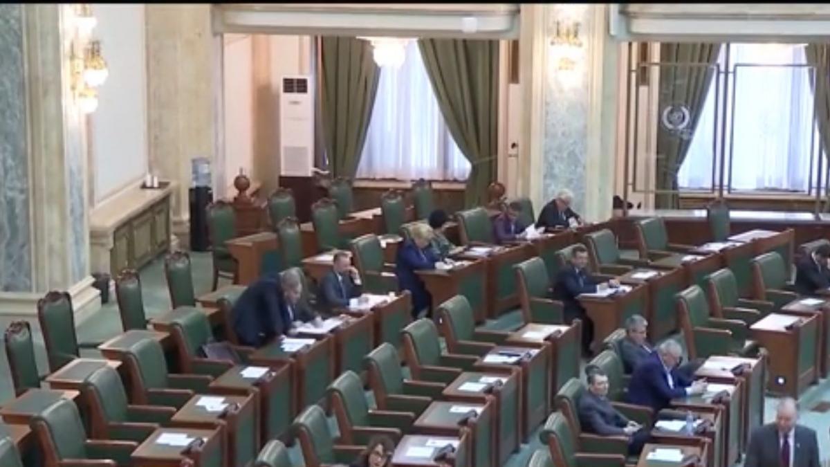 legea armelor in dezbatere la senat