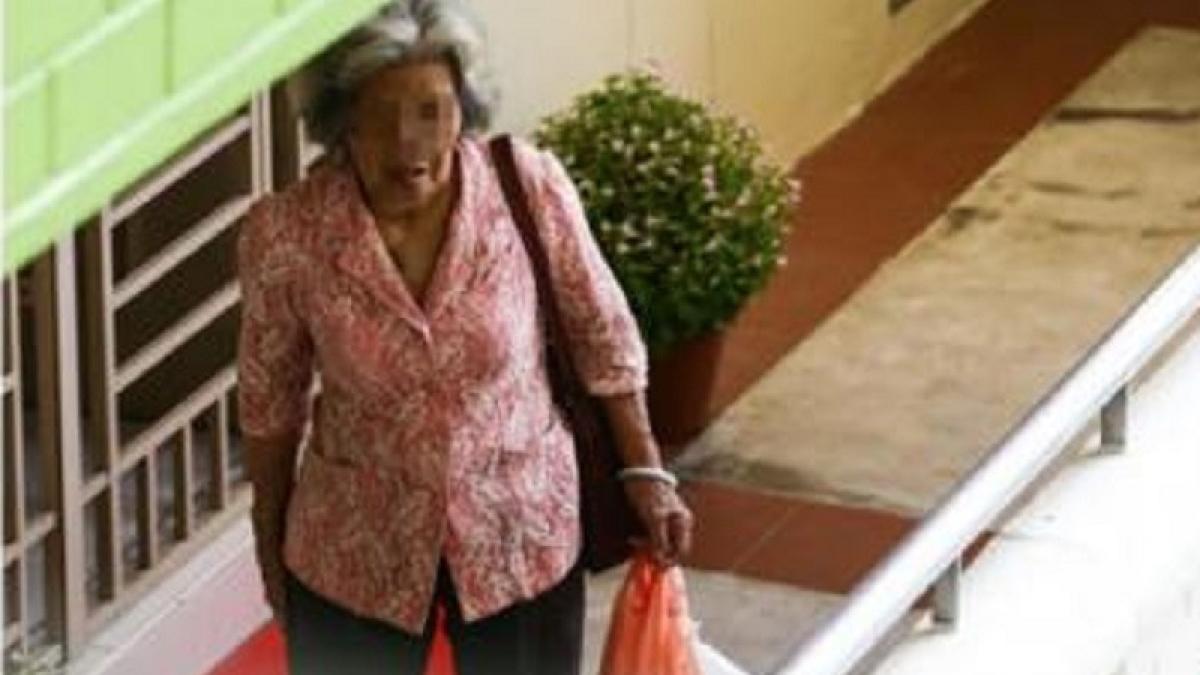 in fiecare zi batrana era vazuta carand sacose dupa ea si intrand intr un bloc unde batea ore