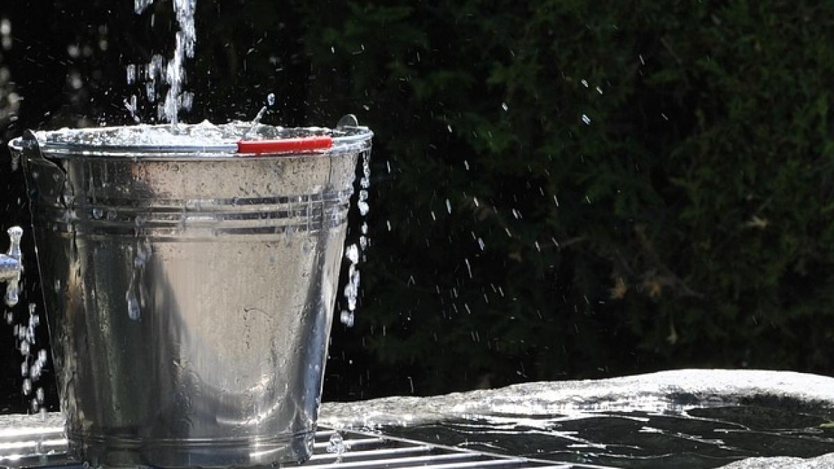 o noua metoda de escrocherie o femeie a reusit sa pacaleasca zece primari din vaslui cu o galeata