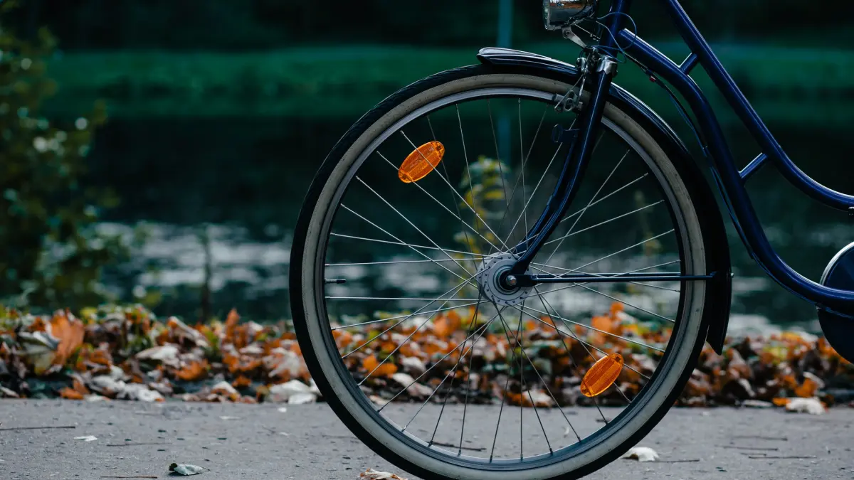 un batran a omorat un tanar de 20 de ani pentru ca l a lovit cu bicicleta