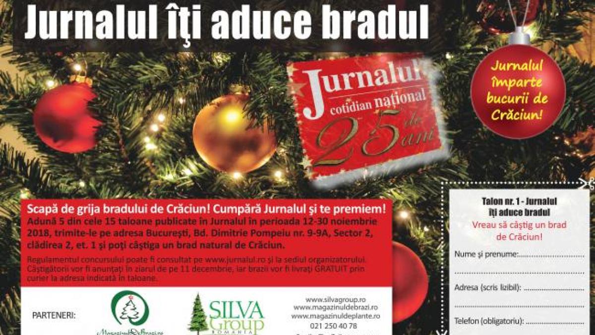 jurnalul iti aduce bradul o campanie de craciun care te scapa de grija bradului