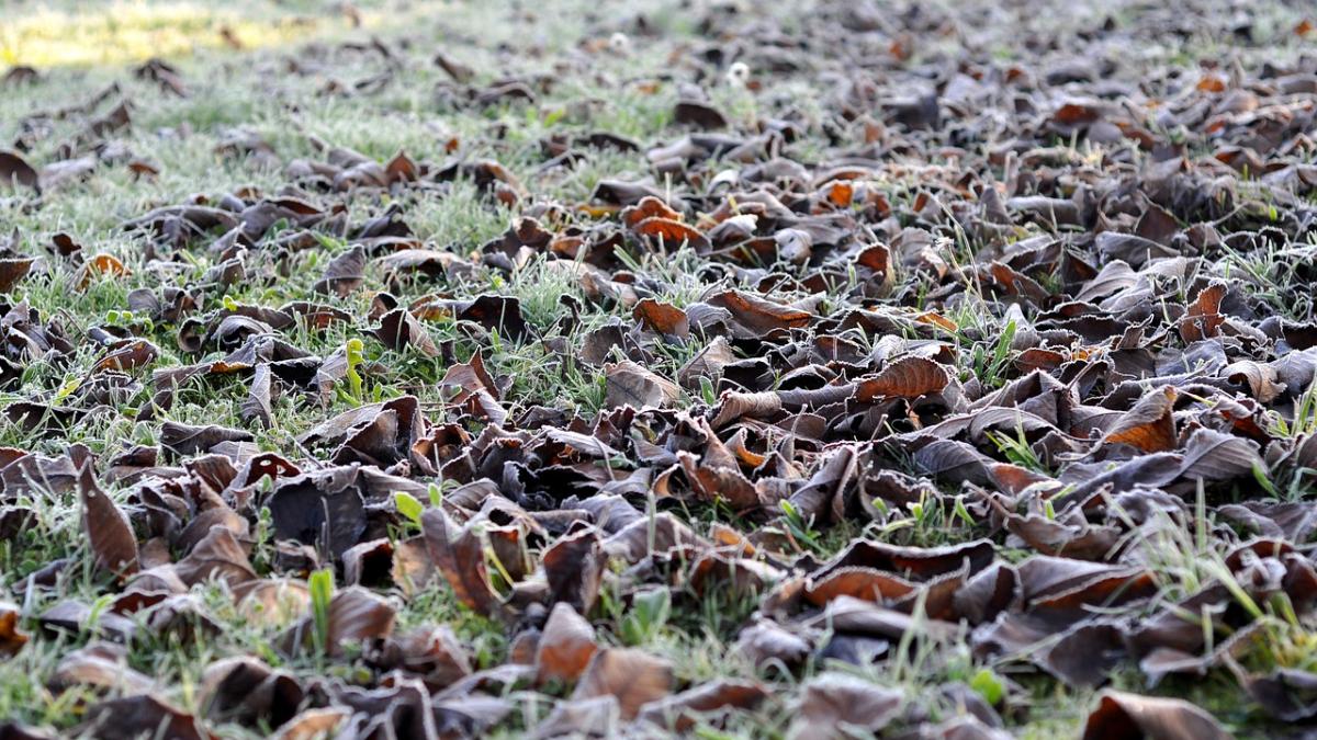 vremea va fi in general inchisa si va continua sa se raceasca in toata tara