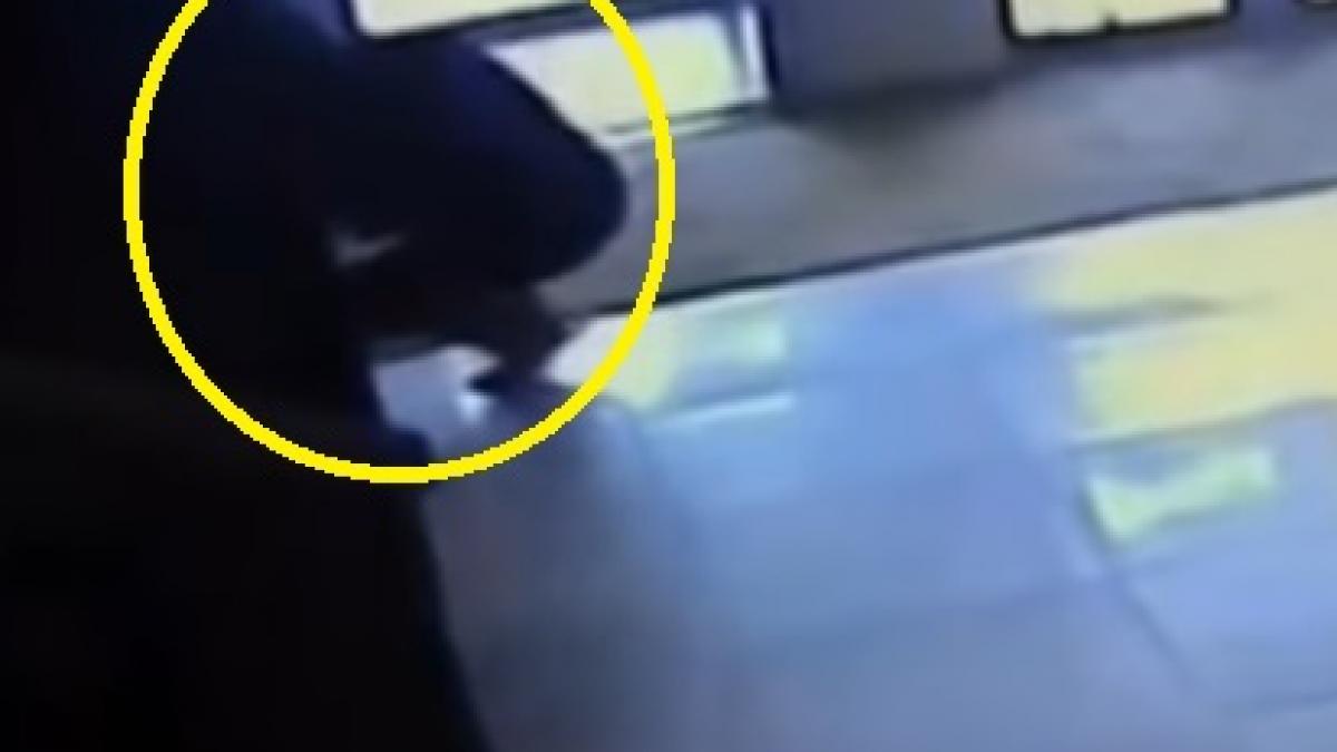 incredibil primar pnl prins la furat ce i s a lipit de mana