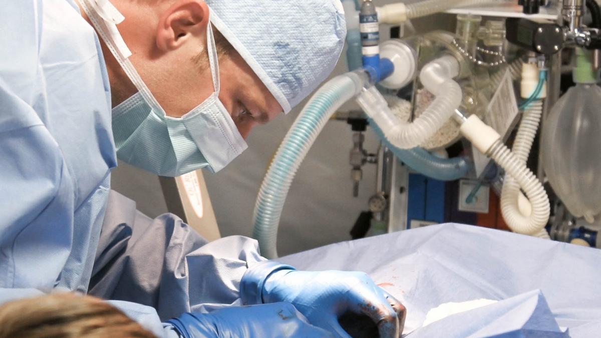 urma sa fie supus unei operatii pe creier dar medicii au fost uimiti cand au vazut analizele este