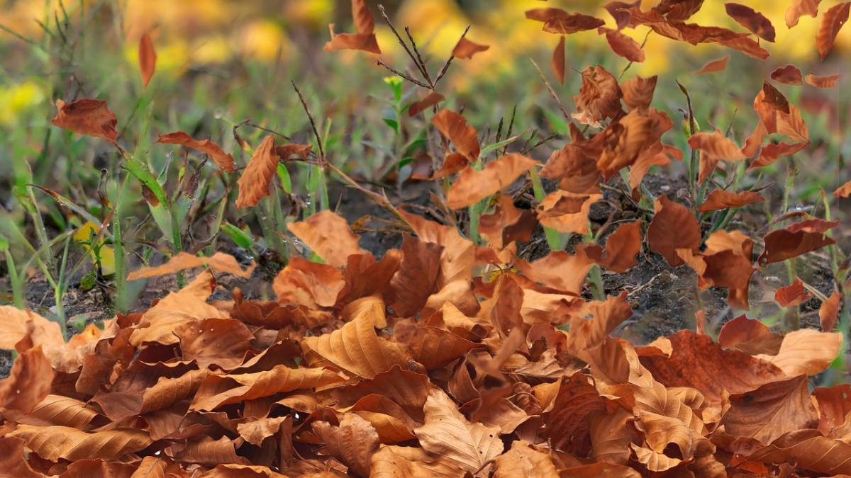 vreme rece in toata tara prognoza meteo pana sambata