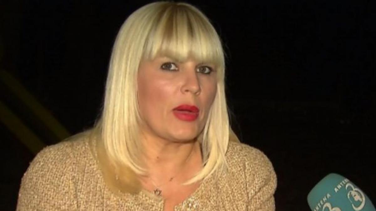 elena udrea mai face o incercare de a si salva averea din mainile procurorilor