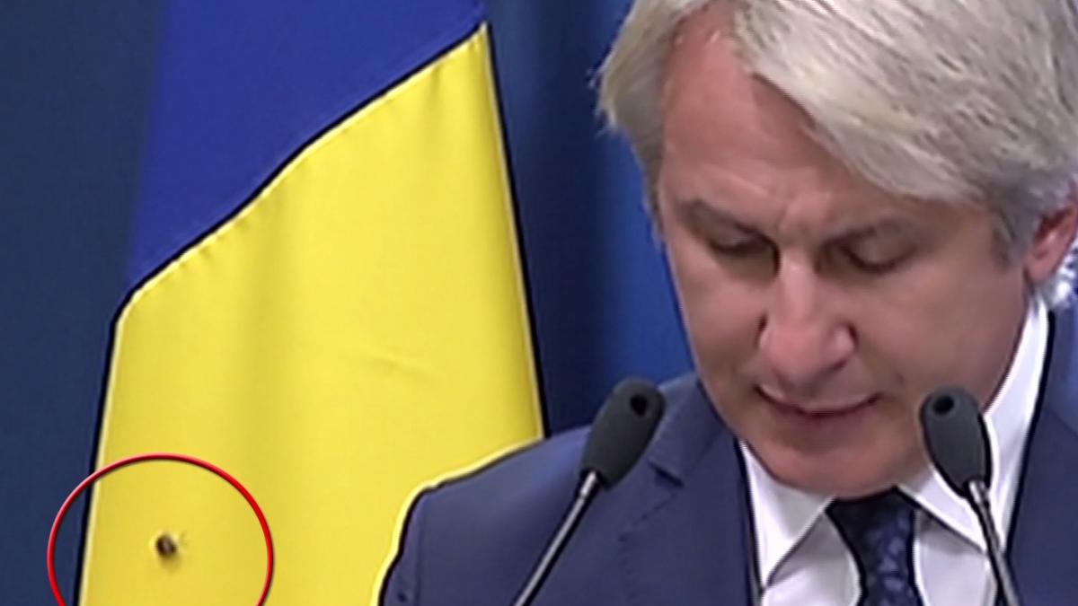 invitat special la conferinta lui teodorovici ce a aparut pe steagul romaniei