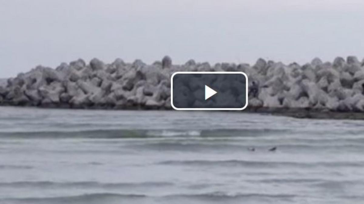 situatie ingrijoratoare pe litoralul romanesc imagini dezolante video