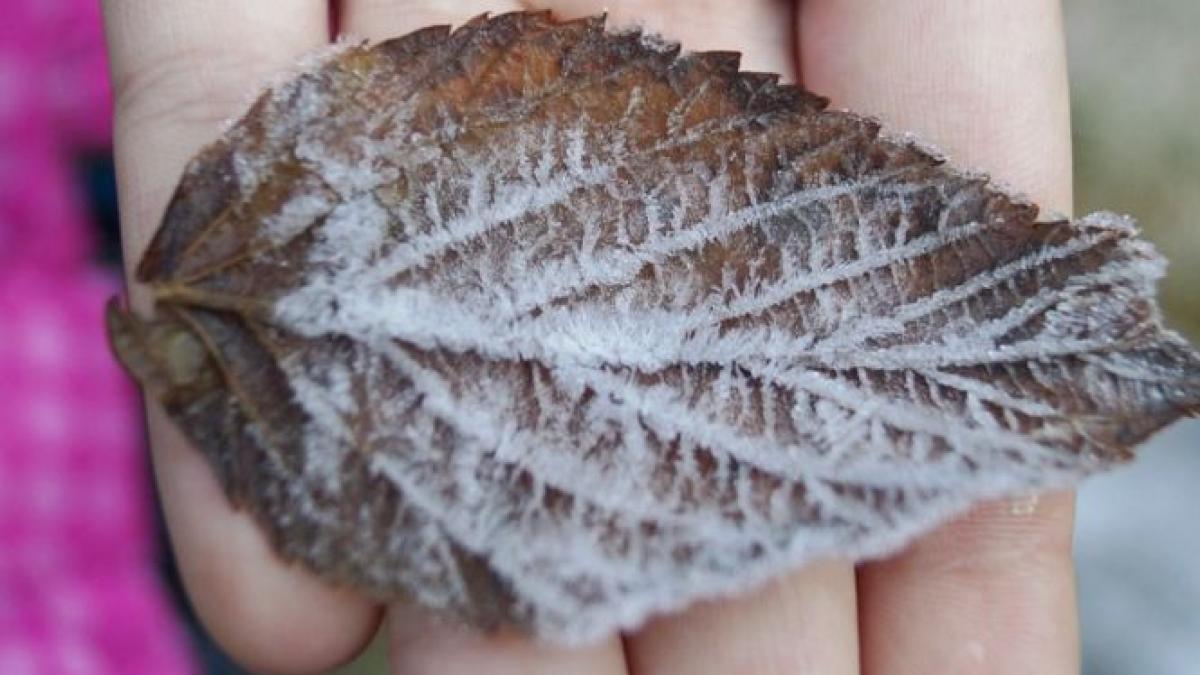 vremea 17 noiembrie temperaturi sub limita normalului in estul tarii e posibil sa ninga din nou in